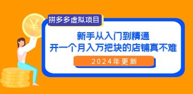 拼多多虚拟商品店铺运营全攻略：从新手到月入过万的实操技巧（24年更新）-天天学吧