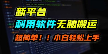 新平台无脑搬运项目：使用软件轻松月入10000+，小白也能快速上手-天天学吧