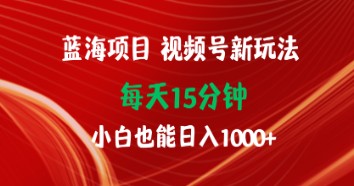 蓝海项目：视频号新玩法让小白日入1000+仅需15分钟-天天学吧