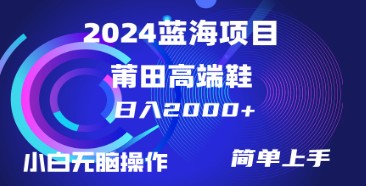 日入2000+不是梦！卖莆田高端鞋，小白也能轻松掌握的简单赚钱术-天天学吧