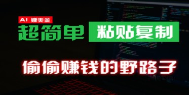 海外淘金秘籍：0成本野路子，无脑复制粘贴稳定赚钱法-天天学吧