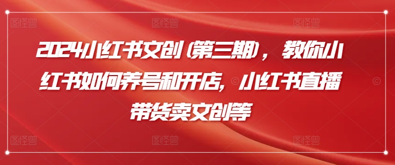 2024小红书文创第三期攻略：教你养号开店，直播带货卖文创商品技巧大揭秘-天天学吧