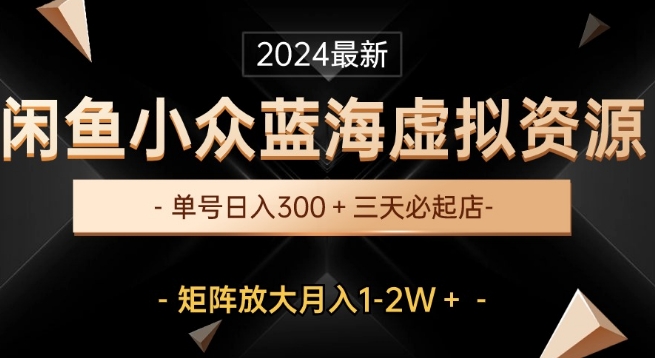 闲鱼最新小众蓝海虚拟资源项目：单号日入300+，三天快速起店，矩阵放大月入1-2W详细教程-天天学吧