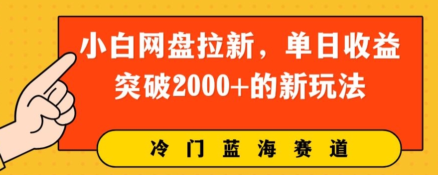 小白也能日入2000+的网盘拉新玩法：揭秘单日收益突破的新策略-天天学吧