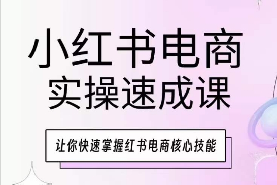 小红书电商实操速成课：快速掌握核心技能-天天学吧