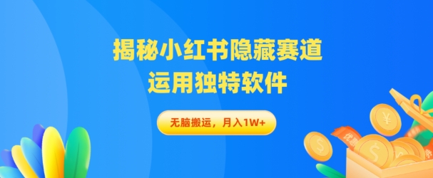 揭秘小红书隐藏赛道，运用独特软件轻松无脑搬运，赚取丰厚收益-天天学吧