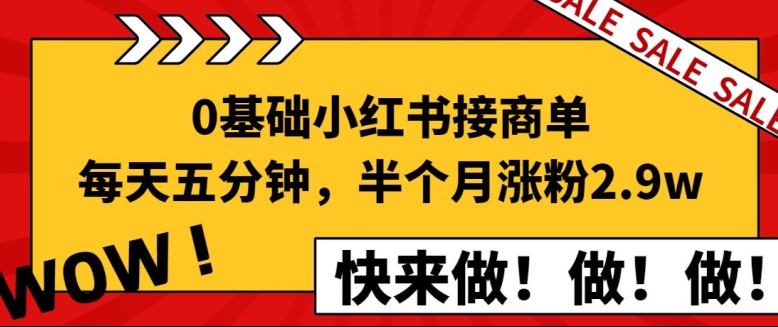 0基础小红书接商单，新手攻略教你每天五分钟15天涨粉2.9w-天天学吧