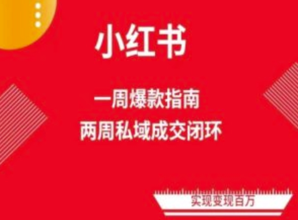 小红书爆款课程：两周免费流量变现技巧与电商运营教程全解析-天天学吧