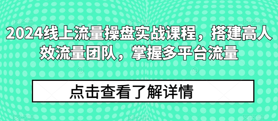 2024年最新线上流量操盘实战课程，高效搭建专业流量团队，全面掌握多平台流量获取技巧-天天学吧