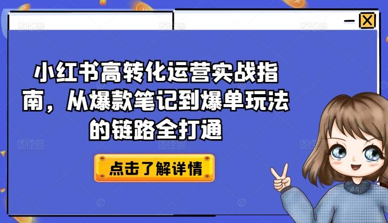 图片[1]-小红书高转化运营实战指南，从爆款笔记到爆单玩法的链路全打通-天天学吧