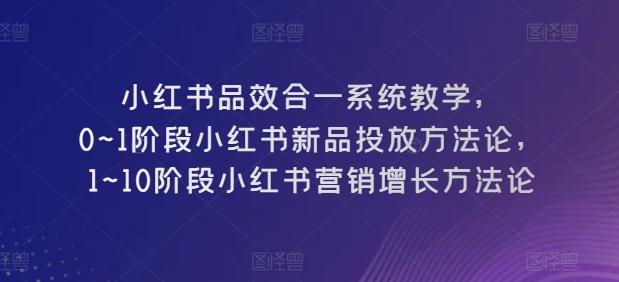 图片[1]-小红书品效合一系统教学，​0~1阶段小红书新品投放方法论，​1~10阶段小红书营销增长方法论-天天学吧