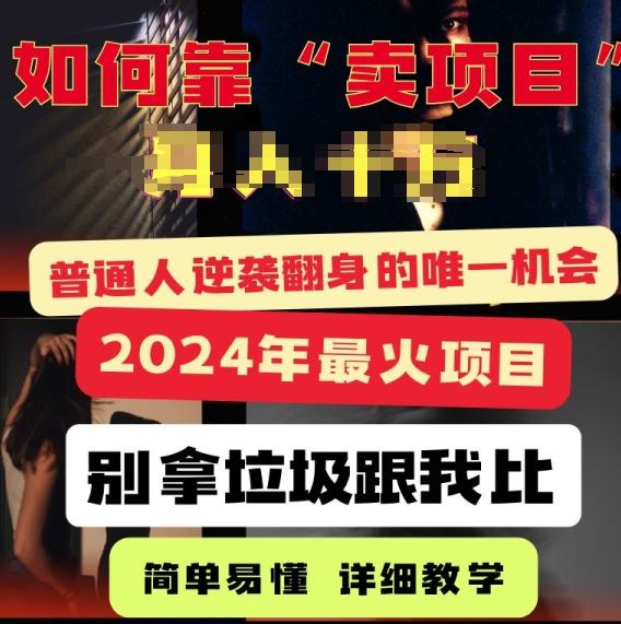 图片[1]-2024年最火项目，如何靠“卖项目”逆装翻身，简单易懂 详细教学 完整版5节课-天天学吧