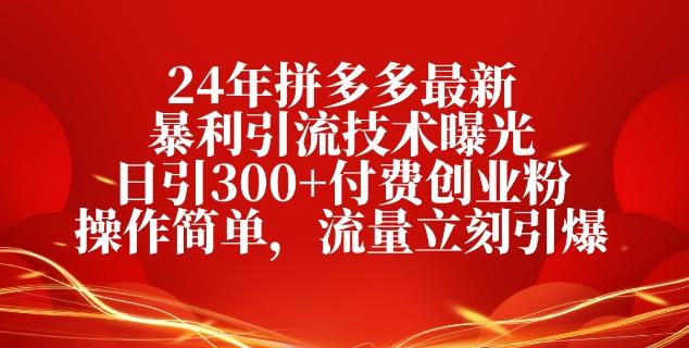 图片[1]-24年拼多多最新暴利引流技术曝光，日引300+付费创业粉，操作简单，流量立刻引爆-天天学吧