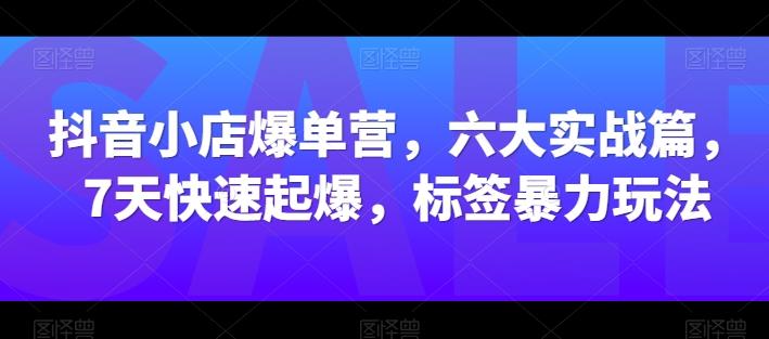 图片[1]-抖音小店爆单营，六大实战篇，7天快速起爆，标签暴力玩法-天天学吧