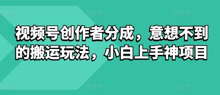 图片[1]-视频号创作者分成，意想不到的搬运玩法，小白上手神项目-天天学吧