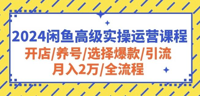 图片[1]-2024闲鱼高级实操运营课程：开店/养号/选择爆款/引流/月入2万/全流程-天天学吧