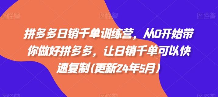 图片[1]-拼多多日销千单训练营，从0开始带你做好拼多多，让日销千单可以快速复制(更新24年8月)-天天学吧