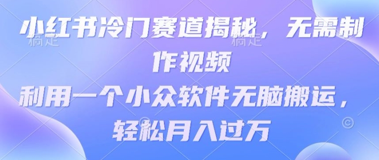 小红书冷门赛道攻略：无需制作视频，利用小众软件轻松月入过万技巧揭秘-天天学吧