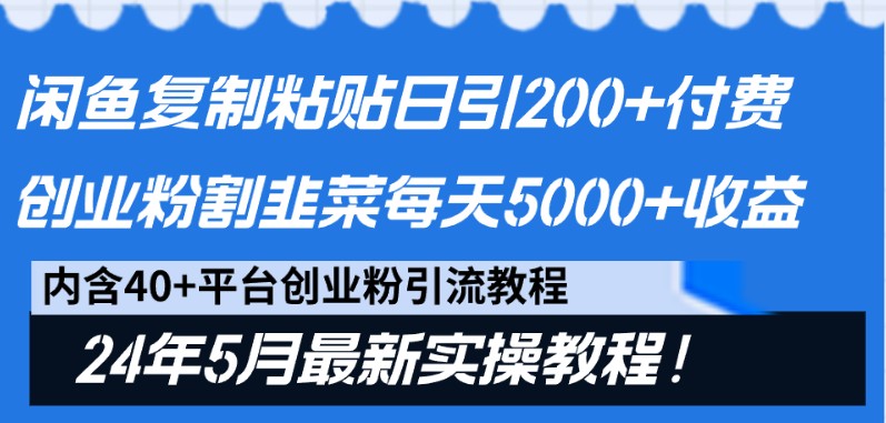 闲鱼复制粘贴日引200+付费创业粉，24年5月最新方法！割韭菜日稳定5000+收益 -天天学吧