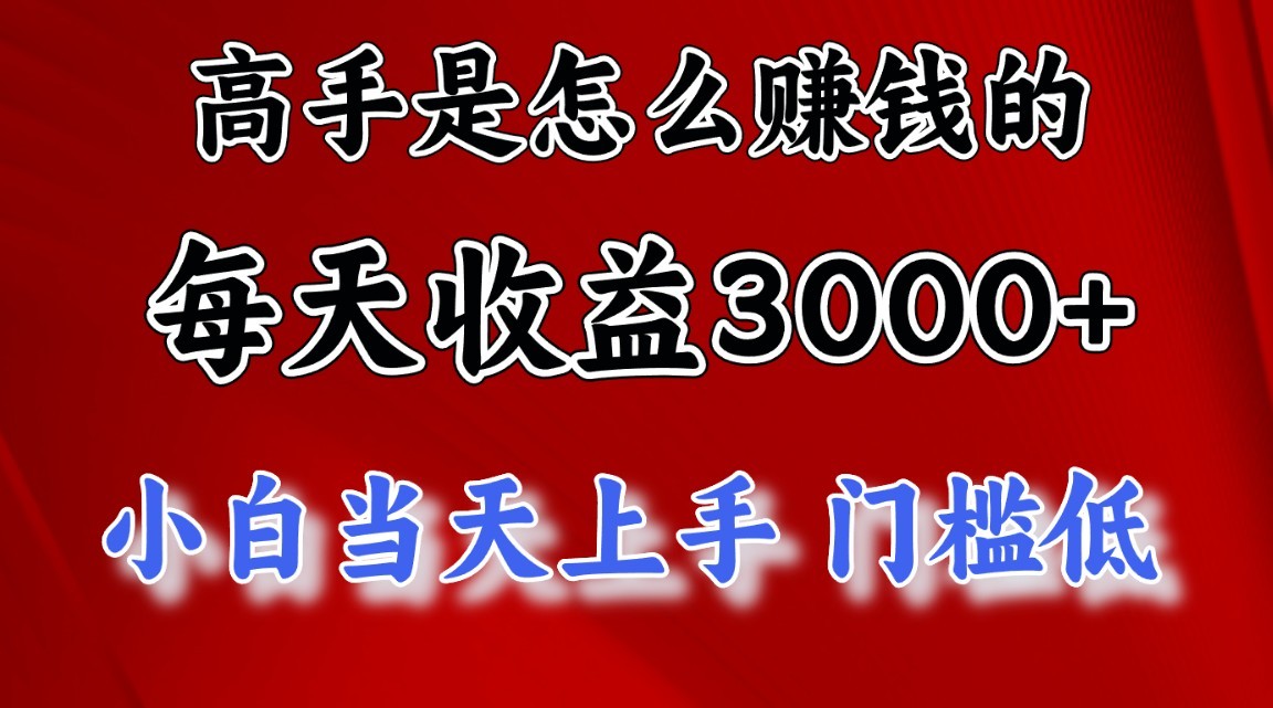 日赚3000+的高手秘籍：小白也能当天上手的翻身项目，稳定性超乎想象-天天学吧