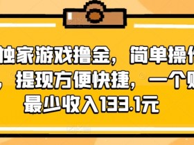 大眼独家游戏撸金，简单操作易上手，提现方便快捷，一个账号最少收入133.1元-天天学吧