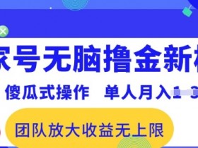 百家号无脑撸金新模式，傻瓜式操作，单人月入1-3万!团队放大收益无上限!-天天学吧