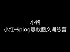 小铭-小红书plog爆款图文训练营，教你从0-1做小红书-天天学吧