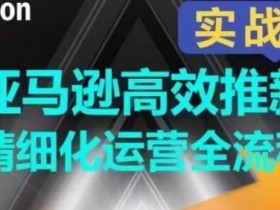 亚马逊高效推新精细化运营全流程，全方位、快速拉升产品排名和销量!-天天学吧