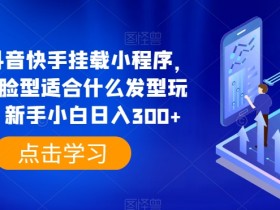 0粉抖音快手挂载小程序，你的脸型适合什么发型玩法，新手小白日入300+【揭秘】-天天学吧