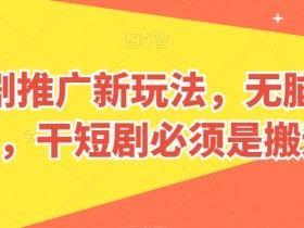 短剧推广新玩法，无脑搬运，干短剧必须是搬运【揭秘】-天天学吧