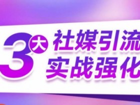 3大社媒引流实战强化，多渠道站外引流，高效精准获客，订单销售额翻倍增长-天天学吧