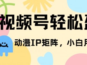 视频号轻松盈利，动漫IP矩阵，小白也能月入3000+!-天天学吧