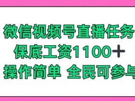 微信视频号直播任务，保底工资1100+，全民可参与-天天学吧