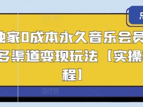 独家0成本永久音乐会员，多渠道变现玩法【实操教程】-天天学吧