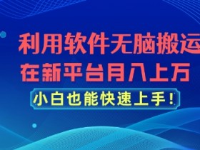 利用软件无脑搬运，在新平台月入上万，小白也能快速上手无脑搬运利用软件无脑搬运，在新平台月入上万，小白也能快速上手-天天学吧