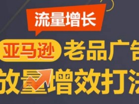 亚马逊流量增长-老品广告放量增效打法，循序渐进，打造更多TOP listing​-天天学吧