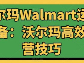 沃尔玛Walmart运营必备：沃尔玛高效运营技巧-天天学吧