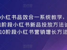 小红书品效合一系统教学，​0~1阶段小红书新品投放方法论，​1~10阶段小红书营销增长方法论-天天学吧