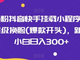 0粉抖音快手挂载小程序，超级换脸(爆款开头)，新手小白日入300+【揭秘】-天天学吧