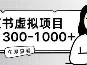 小红书虚拟项目家长会项目，单日一到三张【揭秘】-天天学吧