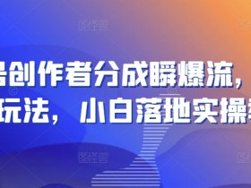 视频号创作者分成瞬爆流，团队新出玩法，小白落地实操教学【揭秘】-天天学吧