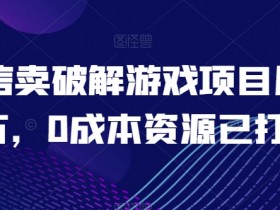 微信卖破解游戏项目月入1万，0成本资源已打包【揭秘】-天天学吧