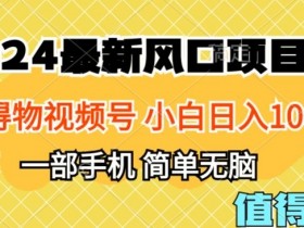 2024年得物平台最新玩法，10分钟学会，保姆级教程，小白轻松日入100+-天天学吧