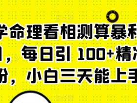 玄学命理看相测算暴利项目，每日引 100+精准粉，小白三天能上手-天天学吧