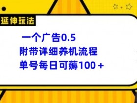 一个广告0.5.附带详细养机流程单号每日可薅100+-天天学吧