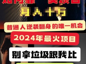 2024年最火项目，如何靠“卖项目”逆装翻身，简单易懂 详细教学 完整版5节课-天天学吧