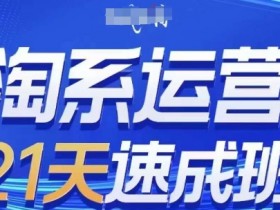 淘系运营21天速成班(更新24年9月)，0基础轻松搞定淘系运营，不做假把式-天天学吧