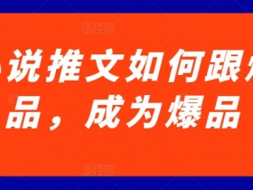 小说推文如何跟爆品，成为爆品【揭秘】-天天学吧