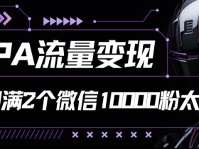 CPA流量变现7天加满两个微信10000粉-天天学吧