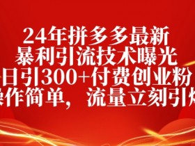 24年拼多多最新暴利引流技术曝光，日引300+付费创业粉，操作简单，流量立刻引爆-天天学吧